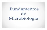 !Fundamentos! de Microbiología!! · PDF fileclase 8 de marzo.pptx Author: Nydia Created Date: 3/8/2012 6:54:18 PM