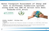 PowerPoint Presentationwli.icarda.org/presentations/nwwrldaccu-sep-2014/13... · PPT file · Web view2016-03-20 · Water Footprint Assessment of Sheep and Goat in Different Production