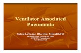 Ventilator Associated Pneumonia - caccn.ca 2B, Pres 1 VAP.pdf · Ventilator Associated Pneumonia Sylvie Larocque, RN, BSc, MScADM(c) Dynamics of Critical Care 2009 CACCN, Fredericton,