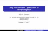 Regularization and Optimization of Backpropagation · Keith L. Downing Regularization and Optimization of Backpropagation. The Hessian Matrix A matrix (H) of all second derivatives