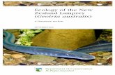 Ecology of the New Zealand Lamprey - doc.govt.nz · Adult habitat and nutrition 8 Adult upstream spawning migration 9 Spawning 11 Larval habitat and nutrition 12 Metamorphosis 13