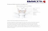 Patient Information Leaflet T1 - baets.org.uk · ‘Breast bone ’ Superior ... discussed in our leaflet Potential Complications of Thyroid Surgery which can be found on our website