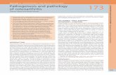 173 - Pathogenesis and pathology of osteoarthritis · Pathogenesis and pathology . of osteoarthritis. Thomas Aigner and Nicole Schmitz Osteoarthritis (OA) is pathologically primarily