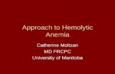 Approach to Hemolytic Anemia to... · What Is Hemolytic Anemia? • Anemia due to shortened survival of red cells in the circulation • Normal RBC lifespan is 120 days, therefore
