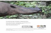 INDONESIAN RHINOS: EARTH’S MOST THREATENED LAND .visiting the National Museum in Jakarta, founded