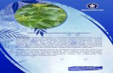 Full page fax print - Biopharmaca BiofarmakaHomebiofarmaka.ipb.ac.id/biofarmaka/2017/BCCS Herbal Plants Collections... · ALPU Biopharmaca Research Center rs a gratissima atau Persea