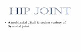 Hip joint - zmchdahod.org · ARTICUAR SURFACES OF HIP JOINT • Spheroidal shape • Hyaline cartilage (except fovea) • Neck shaft angle Adult-125 Child-160 • Determine range