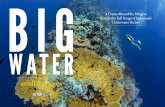 A Cruise Aboard the Pelagian I Reveals the Full Range of ... · AR small treasures A Cruise Aboard the Pelagian Reveals the Full Range of Indonesia’s Underwater Riches ... Komang