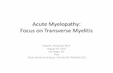 Acute Myelopathy: Focus on Transverse Myelitis 330.pdf · Acute Myelopathy: Focus on Transverse Myelitis David N. Alexander M.D. August 29, 2012 Las Vegas, NV PVA Track: Spinal Cord