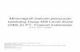 (DMLZ) PT. Freport Indonesia. tambang Deep Mill Level Zone ...ftgeologi.unpad.ac.id/wp-content/uploads/2018/05/Mineragrafi... · sebagai butiran bebas maupun terikat dengan mineral