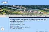 Pt deposition behaviour in boiling water reactors: the ... · in the MMS & RWSL at KKL. Analysis of the Pt deposition on SS specimens by: SEM, TEM, EDX, LA-ICP-MS (Pt particle size,