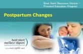 Postpartum Changes - Best Start · Postpartum Depression in Fathers/Partners. Can occur in 10.4 % of partners Incidence increases to 25-50% if the mother also has PPMD Usually occurs