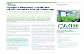 Cloud Computing Gregor Mendel Institute of Molecular Plant ... · The Gregor Mendel Institute of Molecular Plant Biology (GMI) was founded by the Austrian Academy of Sciences to promote