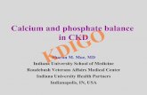 Calcium and phosphate balance in CKD - kdigo.org · Disclosures • Dr. Moe has current grant support from the NIH, the Veterans Administration, Novartis • The balance study was
