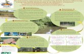 An innovative approach for monitoring abiotic factors ... · b An innovative approach for monitoring abiotic factors influencing mangrove forest biodiversity in an estuarine ecosystem