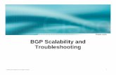 BGP Scalability and Troubleshooting - meetings.ripe.net · “When a BGP speaker receives an UPDATE message from an internal peer, the receiving BGP speaker shall not re-distribute