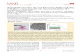 Chemical Bath Deposition of p Type Transparent, Highly …nano.eecs.berkeley.edu/publications/NanoLett_2016_CuS-ZnS.pdf · XXXX, XXX, XXX−XXX B. inﬂuencing the stoichiometry and