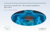 Eosinophilic Esophagitis (EoE)newsletter.drfalkpharma.de/FGI_10-18/JO2e_1-5-18.pdf · Eosinophilic esophagitis (EoE) The information in this brochure is intended exclusively for physicians