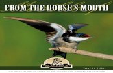 Mooikloof FROM THE HORSE’S MOUTH · the official publication of the mooikloof owners association mooikloof i s s u e 1 0 | 2 0 1 4 from the horse’s mouth