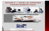 SONET / SDH & DWDM FUNDAMENTALS - ISIDUSisidus.net/SONET_SDH_DWDM_5_Days_Workshop_Web_Dubai.pdf · link budget and network plans using PATHLOSS 4.0, PATHLOSS 5.0 and Ellipse - Mentum