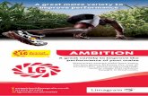 Ambition NEW DL Leaflet - lgseeds.co.uk · AMBITION has high dry matter yields, reducing n production costs per hectare. AMBITION is one of the most widely grown maize varieties in