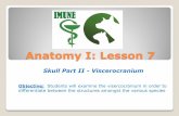 Okay Anatomy Anatomy I: Lesson 7 - Imune 1. Lesson... · Anatomy I: Lesson 7 Skull Part II - Viscerocranium Objective: Students will examine the visercocranium in order to differentiate
