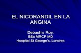 EL NICORANDIL EN LA ANGINA - cardiolatina.comcardiolatina.com/wp-content/uploads/2018/02/roy-esp.pdf · Guidelines on the management of stable angina pectoris. ... percutaneous coronary