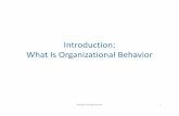 Introduction: What Is Organizational Behaviorati.staff.gunadarma.ac.id/Downloads/files/38258/1+Introduction.pdfPerilaku Keorganisasian 12. Organizational Behavior Organizational behavior