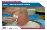 Burn Patient Management - aci.health.nsw.gov.au · Acknowledgements These guidelines were developed with the collaboration of the members of the Multidisciplinary Team of the ACI