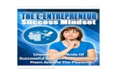 The E-Entrepreneur Success Mindset .The E-Entrepreneur Success Mindset 7 businesses but it is a privilege