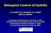 Biological Control of Hydrilla - UF/IFAS OCI · “Ideal” Hydrilla BioControl Agent • Narrow Host Range (=Safety)- Specialists • Damages Vital Plant Tissues (=Individual Effect)
