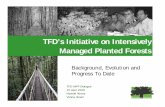 TFD’s Initiative on Intensively Managed Planted Forests · TFD’s Initiative on Intensively Managed Planted Forests Background, Evolution and Progress To Date. The Forests Dialogue