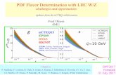 PDF Flavor Determination with LHC W/Z · HKN: Hirai, Kumano, Nagai DSSZ: deFlorian,Sassot,Zurita,Stratmann nCTEQ15 EPS09 DSSZ HKN07 DPF2017 Fermilab ... et al.., Phys.Rev. D85 (2012)