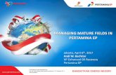 MANAGING MATURE FIELDS IN PERTAMINA EP - norwep.com · MANAGING MATURE FIELDS IN PERTAMINA EP Jakarta, April 6th, 2017 Andi W. Bachtiar VP Enhanced Oil Recovery ... Field Sangasanga