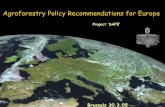 Agroforestry Policy Recommendations for Europe · Agroforestry systems refer to an agriculture land use system in which high-stem trees are grown in combination with agricultural