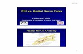 PIN vs. Radial Nerve Palsy - charitable, educational and ...hta-ca.org/wp-content/uploads/2016/02/7-radial-nerve-ASHT-2015.pdf · PIN vs. Radial Nerve Palsy Catherine Curtin Associate