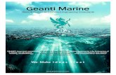 Geanti Marine · maxsurf aveva marine autopipe sage profile 3d sesam, sacs. 3 capability matrix onept pre – feed feed detail design installation ommissioning de- ommissioning naval