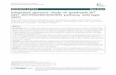 RESEARCH ARTICLE Open Access Integrated genomic study … · RESEARCH ARTICLE Open Access Integrated genomic study of quadruple-WT GIST (KIT/PDGFRA/SDH/RAS pathway wild-type GIST)