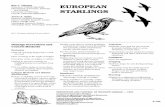 EUROPEAN STARLINGS - pcwd.infopcwd.info/wp-content/uploads/2016/12/1994Starlings.pdf · E-110 Identification Starlings are robin-sized birds weigh-ing about 3.2 ounces (90 g). Adults