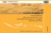 INDONESIA ATS report 20130128 - United Nations Office on … · 2013-02-20 · Printed: February 2013 Authorship: UNODC Global SMART Programme The Global Synthetics Monitoring: Analyses,
