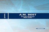 A.M. Best Credit Ratings (Non-U.S.) · 091620 ACP Re Ltd Michael Karfunkel Grantor Annuity Trust a- Stable A- Stable 077031 Aetna Life & Casualty (Bermuda) Ltd. Aetna Inc. a+ Stable