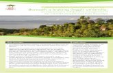 Beneath a leaking (legal) umbrella - World Agroforestry Centre · Beneath a leaking (legal) umbrella: an experiment in collaborative management of the TAHURA (Grand Forest Park) Nipa-Nipa