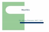 Myelitis - ocw.usu.ac.idocw.usu.ac.id/.../bms166_slide_myelitis.pdf · Myelitis zInflamation of the spinal cord zI. Transverse Myelitis, II. Disseminata, III. Difussa zTransverse