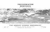 FRESHWATER BENTHOS - Emporia State University · FRESHWATER BENTHOS . Dr. Carl Prophet is Professor of Biology at Emporia State University. This issue of the Naturalist is the second