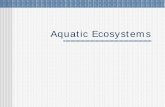 Aquatic Ecosystems s [Read-Only] - Oregon State Universityoregonstate.edu/instruct/fw456/lecture/pdf/aquatic_ecosystems.pdf · Benthos! The film of algae, bacteria, fungi, and microscopic