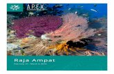 Raja Ampat Diving | Brochure 2019 | Apex Expeditions · Indo Siren, Raja Ampat To allow for more thorough exploration of Raja Ampat, leave dry land today and embark the 120-foot Indo