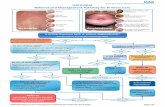 URTI ARIA Referral and Management Pathway for Primary are · NWAIN Referral and management pathway for Urticaria; April 2016 Page 3/4 NOTES ontinued hronic urticaria and angioedema
