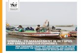 SENEGAL: CO-MANAGEMENT IN OCTOPUS AND GREEN …d2ouvy59p0dg6k.cloudfront.net/downloads/wwf_senegal_engl.pdf · This report, titled “Co-management in traditional octopus and green