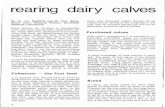 rearing dairy calves - - HISTORY OF AG SAhistory.pir.sa.gov.au/.../0004/49261/feeding_Dairy_Calvescrop.pdf · rearing• dairy calves By Dr. J.C. Radcliffe and Mr. B.R. White, Senior