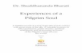 Experiences of a Pilgrim Soul - shuddhanandabharati.ch · of the Pilgrim’s tours all over the world! ***** *** * ASSA Editions. Preface H.H. Swami Sivananda Saraswatiji Maharaj,